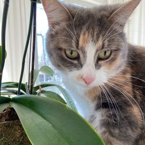 Meet your Posher, Florence